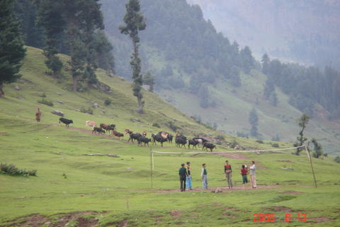 Dachigam with Off beat Kashmir 08Nts09Day
